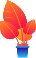 Creare siteuri de prezentare